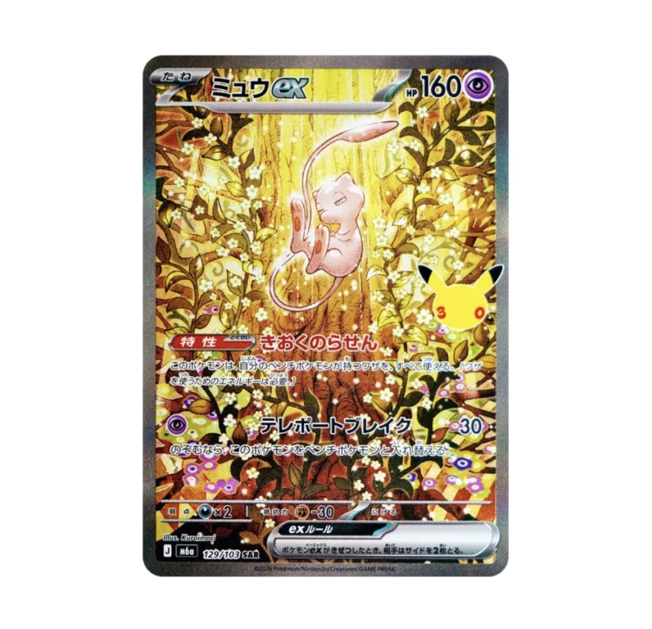 POKEMON 寶可夢30周年卡盒 日文版:圖片 7